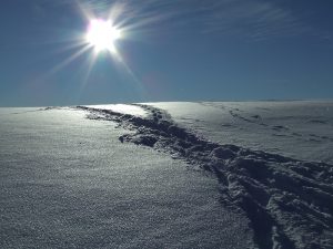 Spuren im Schnee